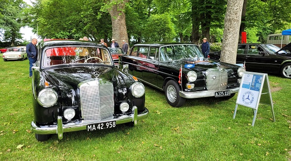 Motorhistorisk Samråds bestyrelse har netop indstillet Mercedes-Benz Klub Danmark til optagelse. Vi bliver flere, vi bliver bredere, sikkert også yngre. Sammen bliver vi alle hørt.